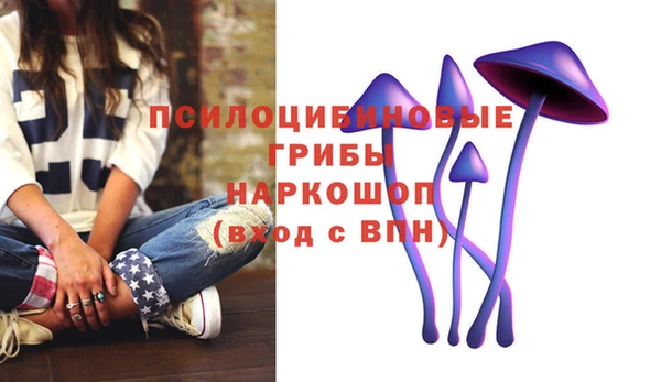 ПСИЛОЦИБИНОВЫЕ ГРИБЫ Михайлов