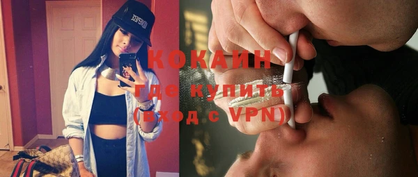 ПСИЛОЦИБИНОВЫЕ ГРИБЫ Михайлов