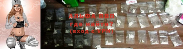 ПСИЛОЦИБИНОВЫЕ ГРИБЫ Михайлов