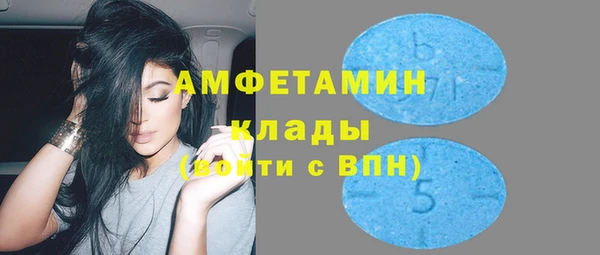ПСИЛОЦИБИНОВЫЕ ГРИБЫ Михайлов