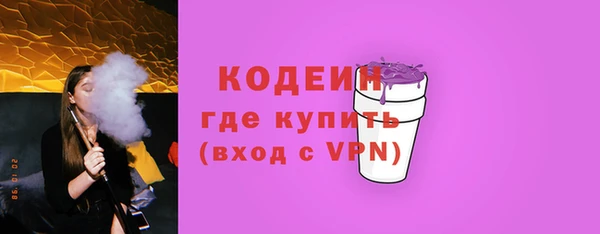 ПСИЛОЦИБИНОВЫЕ ГРИБЫ Михайлов