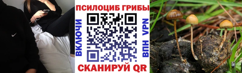 mega как зайти закладка Верхняя Салда Псилоцибиновые грибы ЛСД