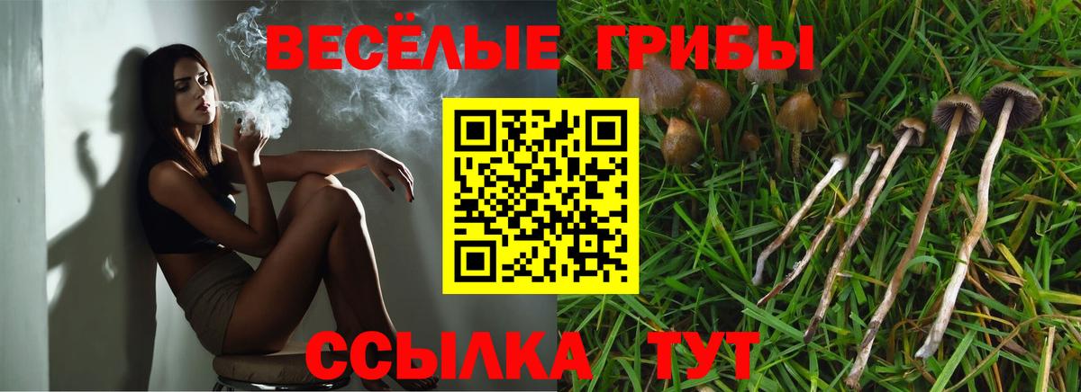 Псилоцибиновые грибы прущие грибы Верхняя Салда