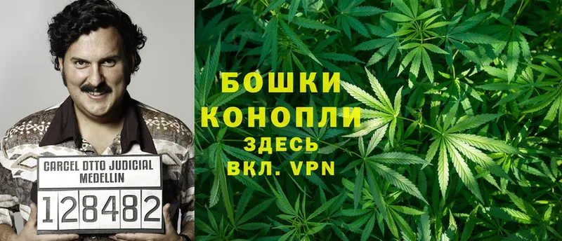 купить   Верхняя Салда  Канабис LSD WEED 