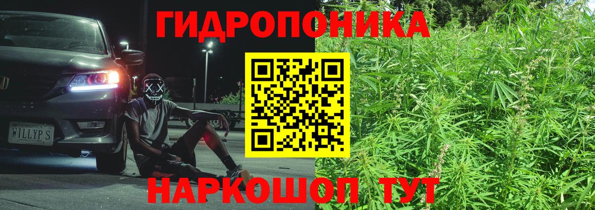 Каннабис SATIVA & INDICA  Бошки Шишки ГИДРОПОН  Верхняя Салда 